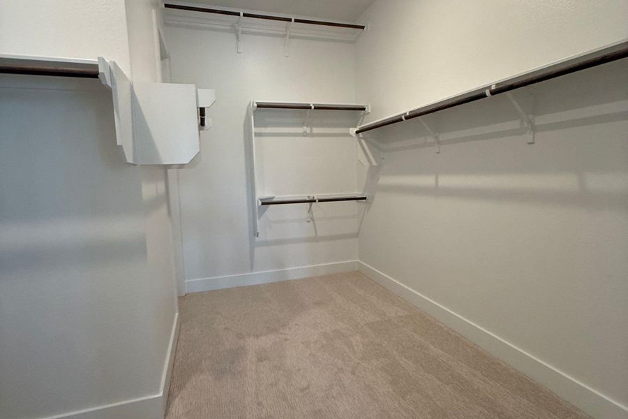 Spacious walk-in closet featuring light beige carpeting, white walls, white baseboards, and built-in shelving with hanging rods