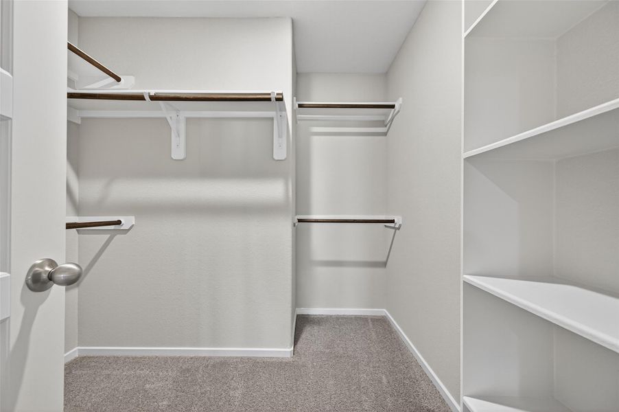 Spacious, unfurnished interior of a new home in Cypress Green, Hockley (Image 21). Spacious, unfurnished interior of a new home in Cypress Green, Hockley (Image 21).