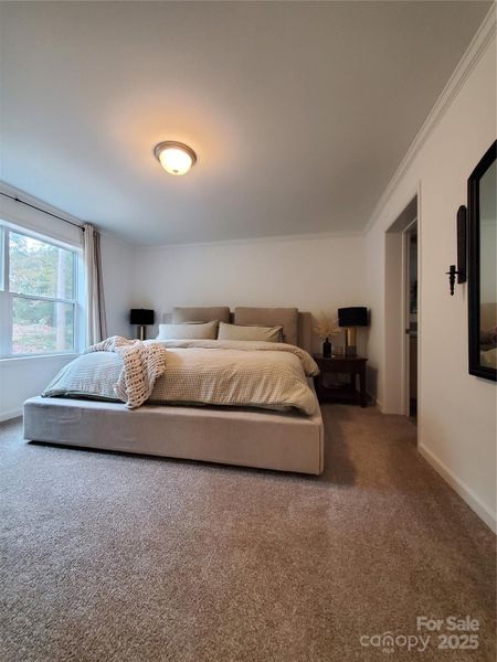 Furnished interior view inside a new home in , Olin (Image 20).