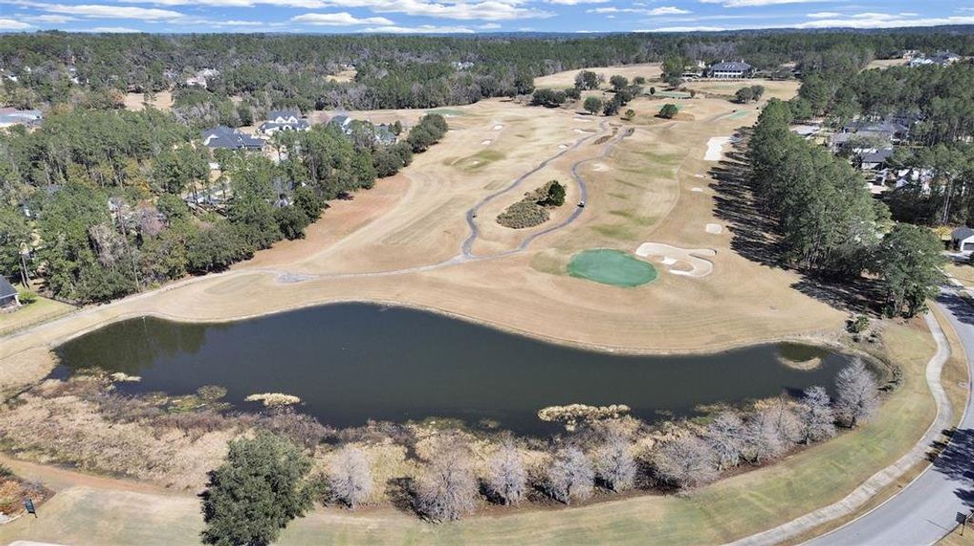 Site preparation for new homesites in Southern Hills Plantation, Brooksville (Image 48).