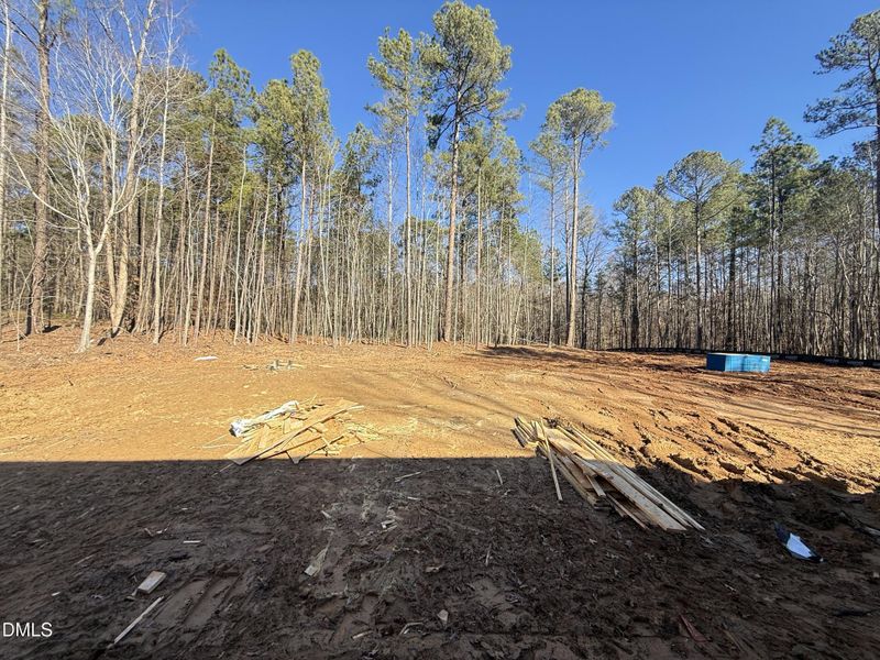 IMG_1966 2 IMG_1966 2