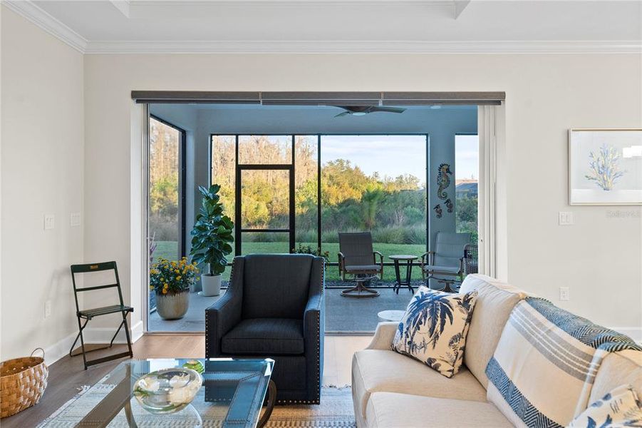 Furnished interior view inside a new home in Esplanade at Wiregrass Ranch, Wesley Chapel (Image 36).