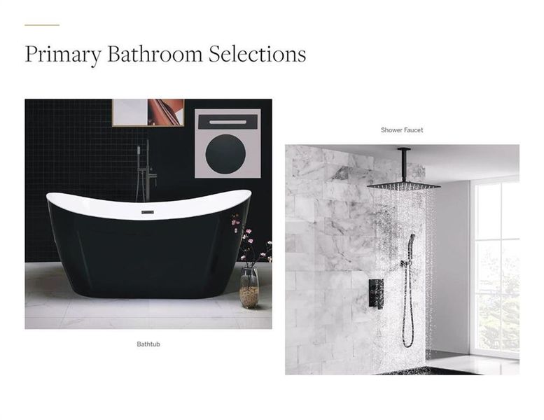 Sample of building materials used in homes in , Hoschton (Image 9).