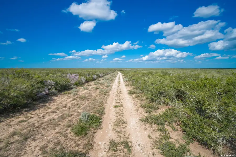 Natural landscape and outdoor views near  in Alice (Image 48).
