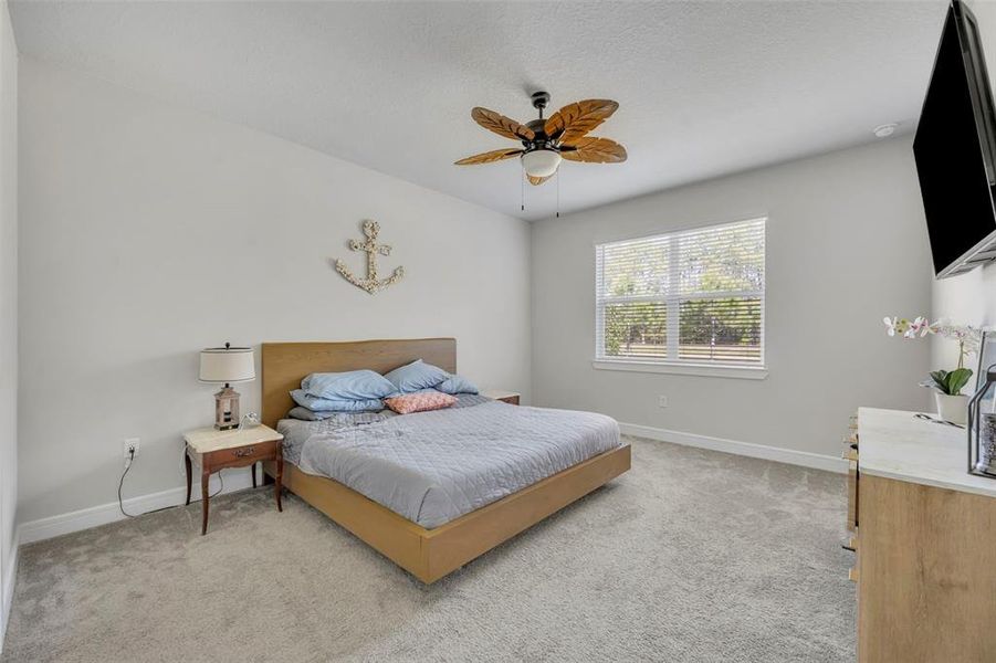 Furnished interior view inside a new home in , Clermont (Image 12).