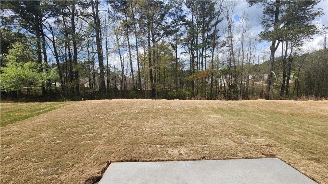 Natural landscape and outdoor views near The Estates at Casteel in Bethlehem (Image 44).
