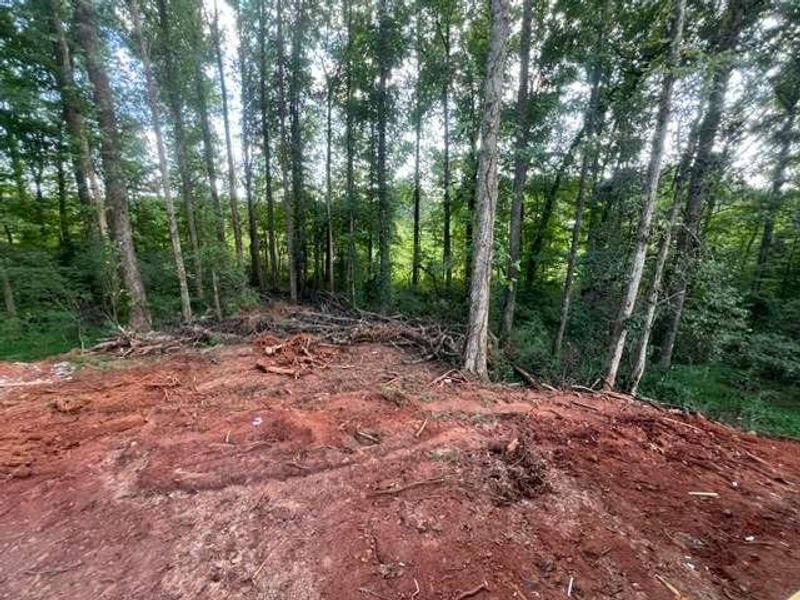 Site preparation for new homesites in , Mount Airy (Image 21). Site preparation for new homesites in , Mount Airy (Image 21).