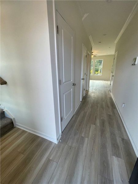 Spacious, unfurnished interior of a new home in Springwood Grove, Central (Image 14).