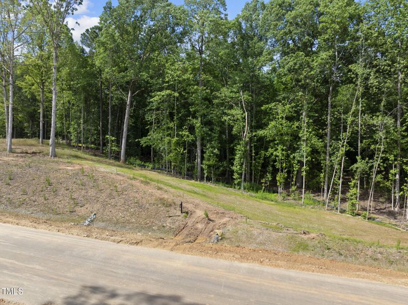 DJI_20250617160837_0043_D