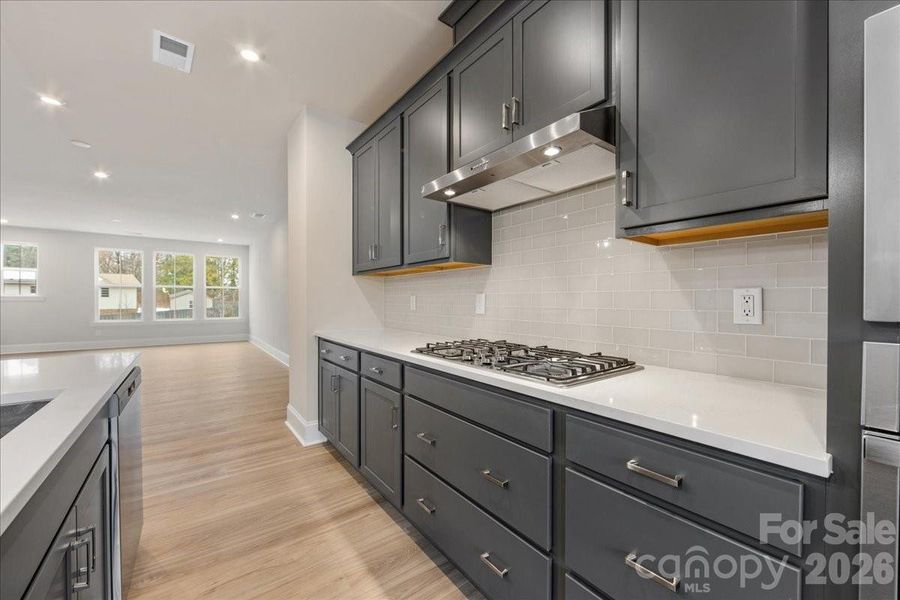 Gouremt Kitchen with Gas Cooktop