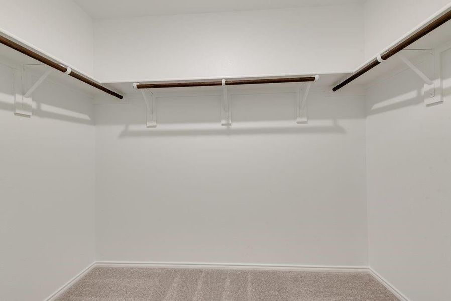 Walk in closet with carpet floors