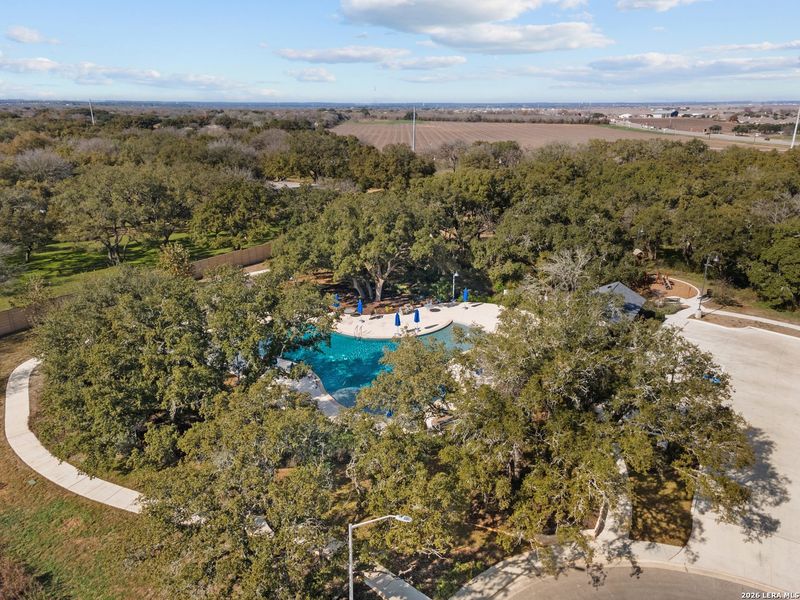Natural landscape and outdoor views near Greenspoint Heights in Seguin (Image 26).