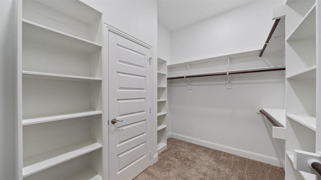 Spacious closet featuring carpet floors