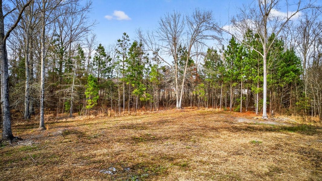 Natural landscape and outdoor views near  in Vance (Image 52).