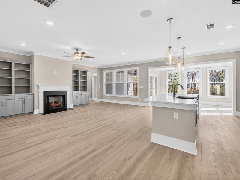 Spacious, unfurnished interior of a new home in Collins Cove, Chapin (Image 35).