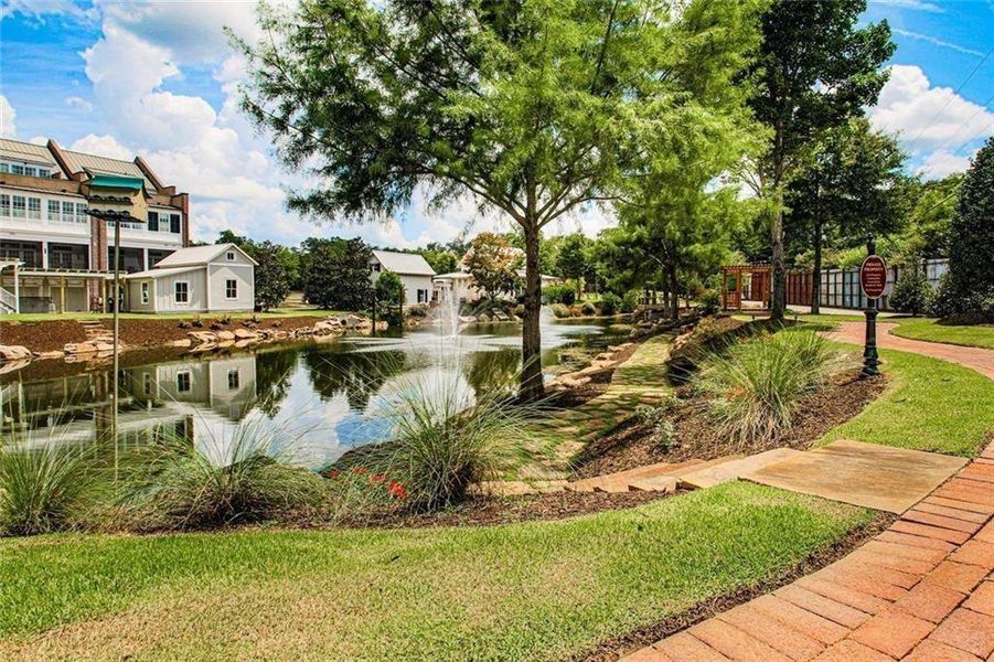 Natural landscape and outdoor views near  in Senoia (Image 12).