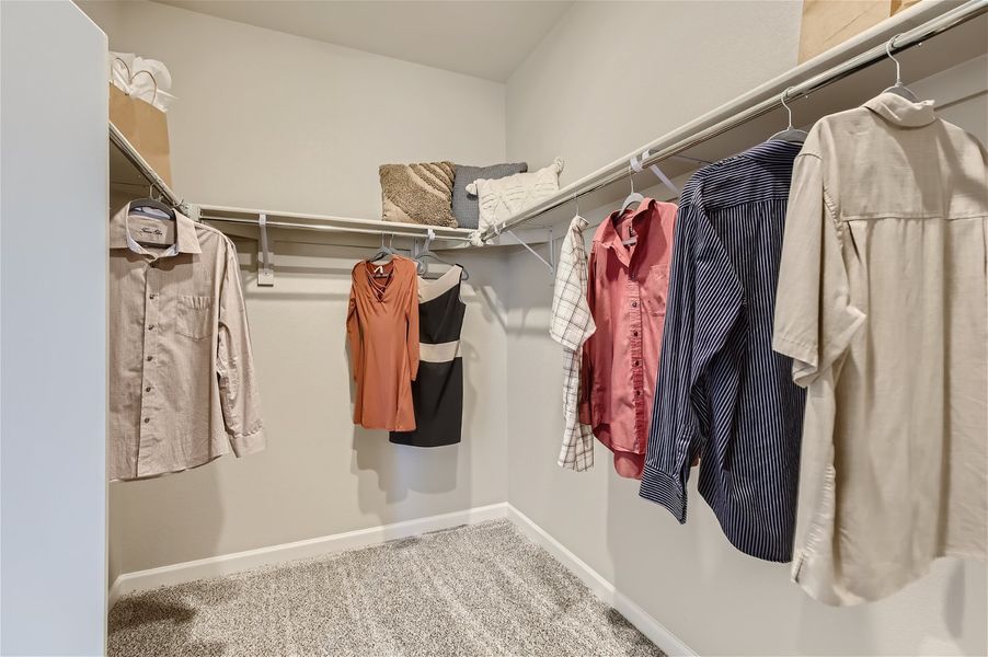 A room with a rack of clothes. A room with a rack of clothes.