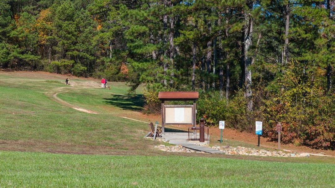 Natural landscape and outdoor views near Waypoint in Flowery Branch (Image 54).