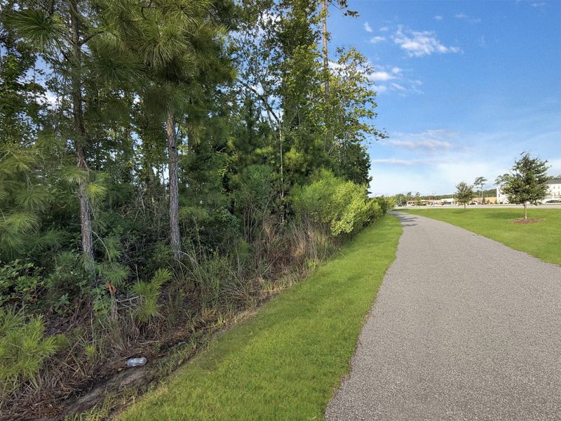 Natural landscape and outdoor views near  in Summerville (Image 44).