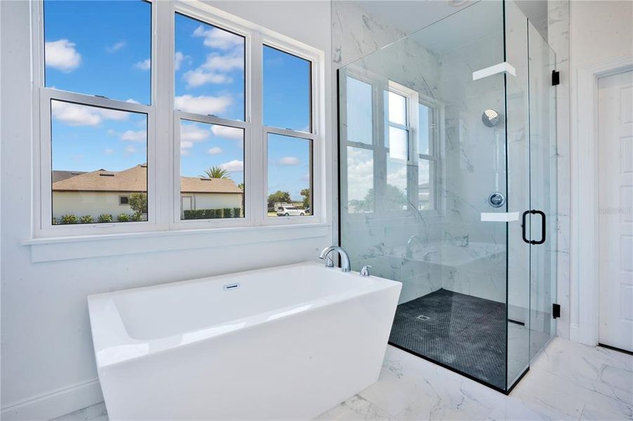 Furnished interior view inside a new home in , Lake Alfred (Image 10).