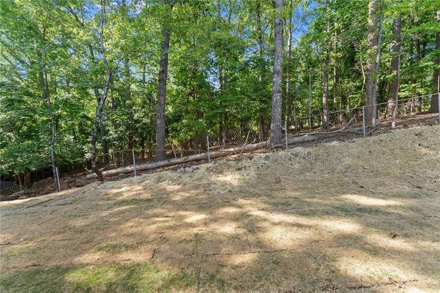 Natural landscape and outdoor views near  in Gainesville (Image 43).