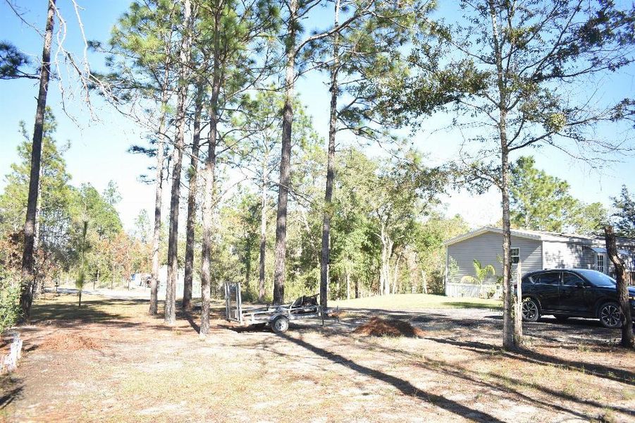 Natural landscape and outdoor views near  in Williston (Image 58).