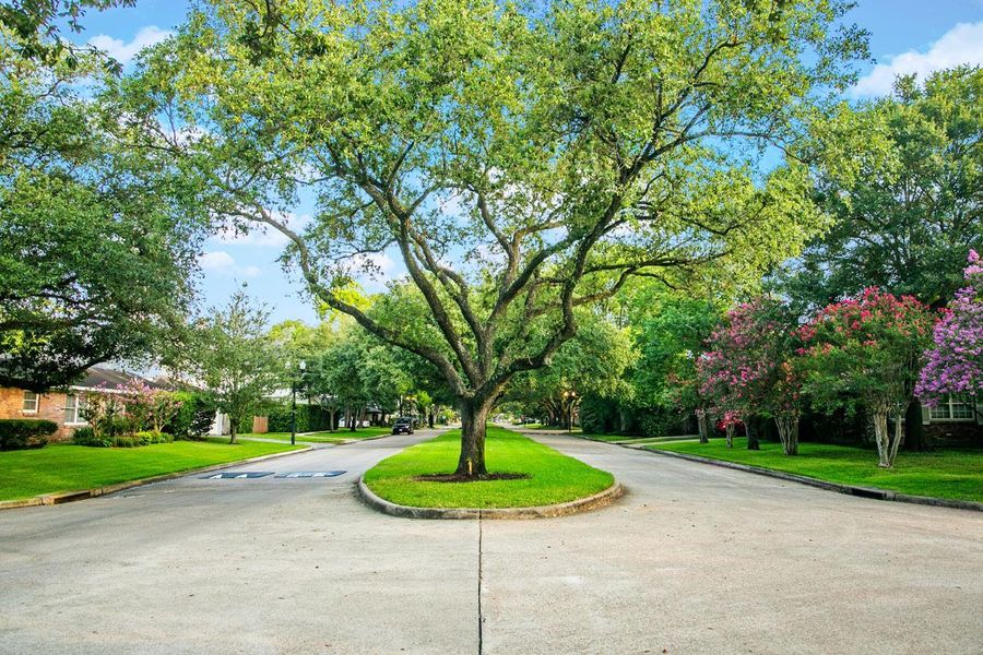 Natural landscape and outdoor views near in Houston (Image 28). Natural landscape and outdoor views near in Houston (Image 28).
