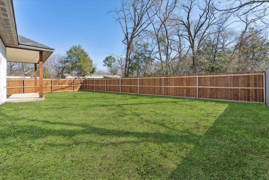 View of backyard