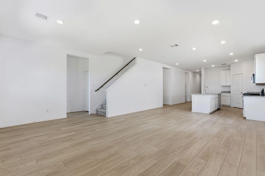 615 Yaupon Holly ~ Ready Now