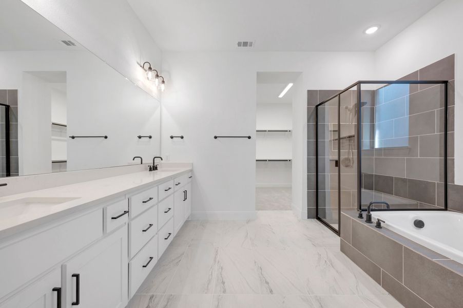 Owner's Bath
