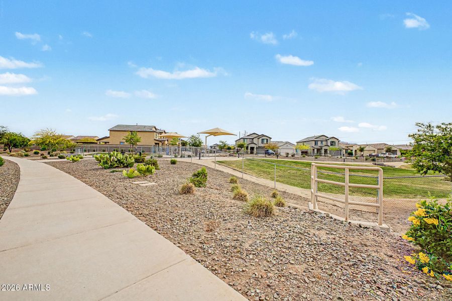 Walking Path Green Space