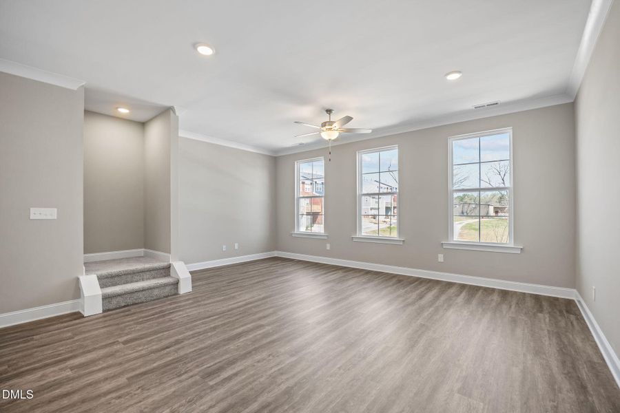 33-web-or-mls-IMG_6511