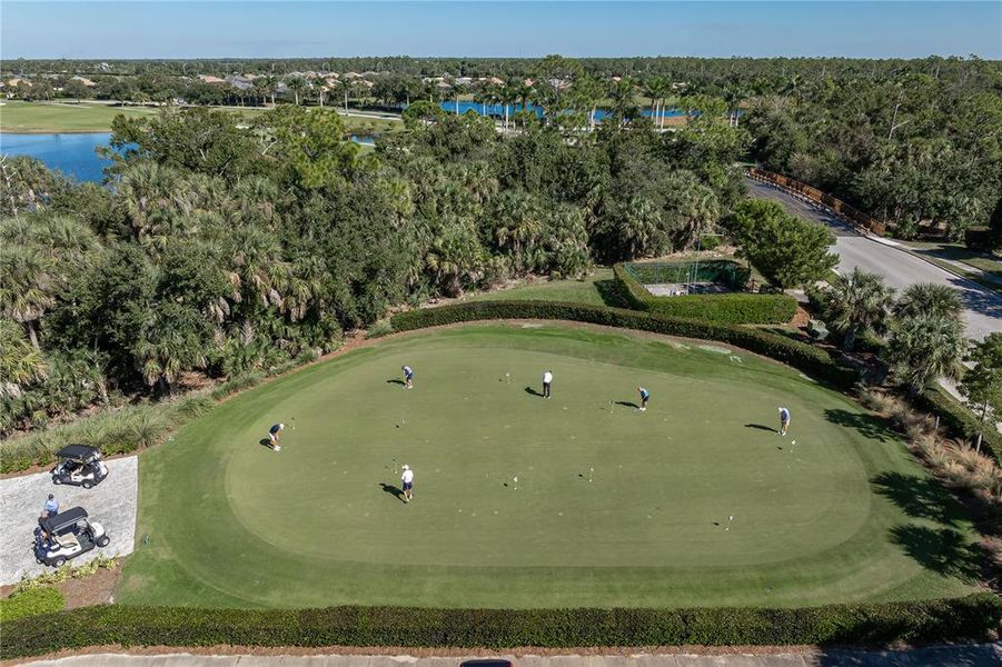 Natural landscape and outdoor views near  in Punta Gorda (Image 71).