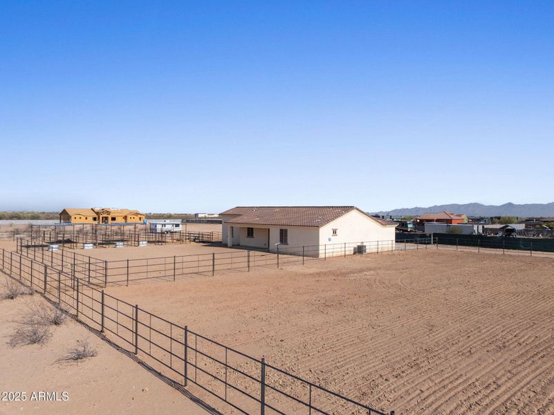 Arena & Back Arena & Back