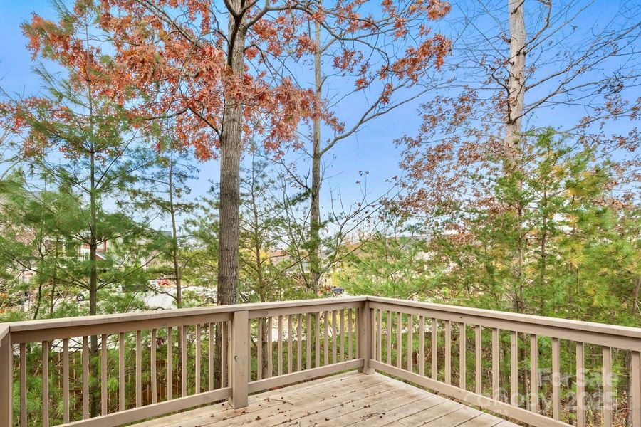 Natural landscape and outdoor views near  in Arden (Image 41).