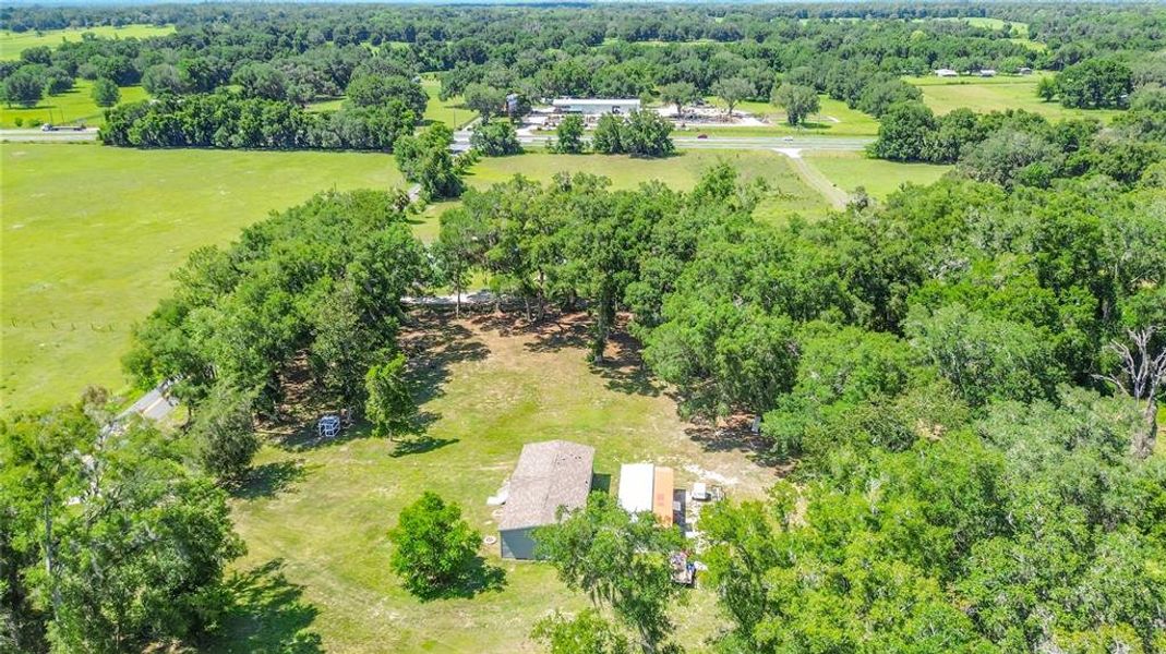 Natural landscape and outdoor views near  in Summerfield (Image 46).