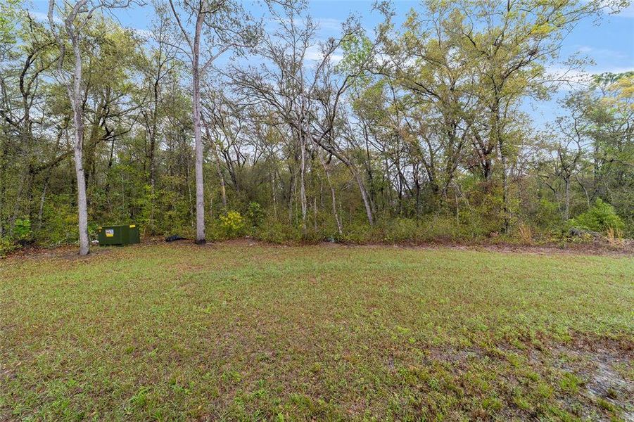 Natural landscape and outdoor views near in Dunnellon (Image 46). Natural landscape and outdoor views near in Dunnellon (Image 46).