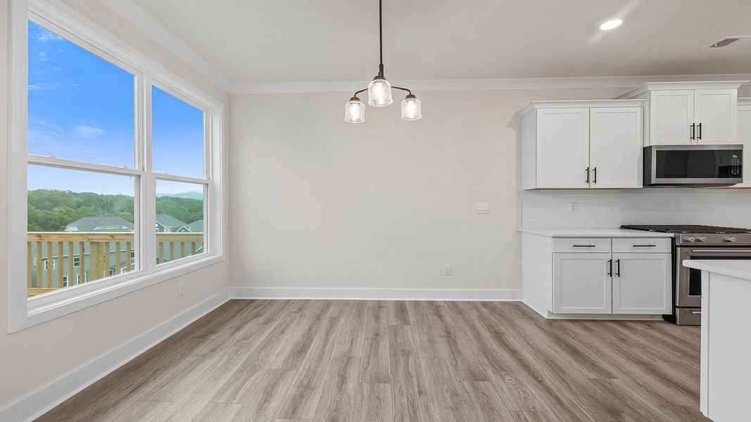 Spacious, unfurnished interior of a new home in Whitehawk Meadows, Travelers Rest (Image 19). Spacious, unfurnished interior of a new home in Whitehawk Meadows, Travelers Rest (Image 19).