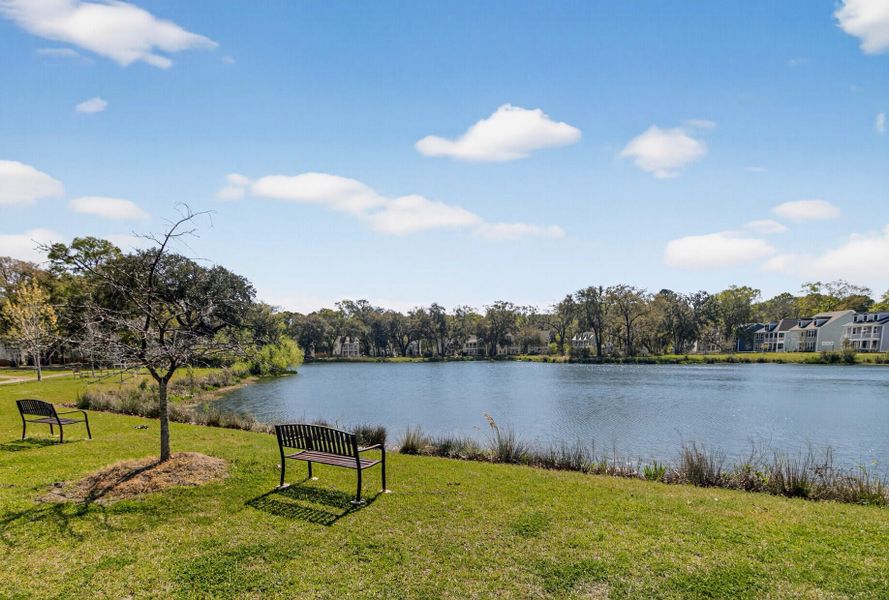Natural landscape and outdoor views near Twin Lakes in Johns Island (Image 53).