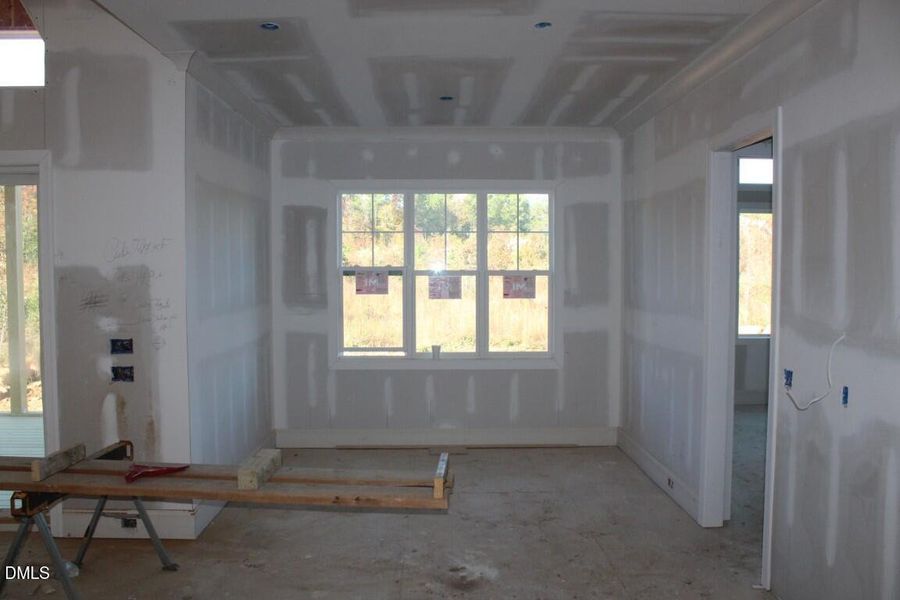 IMG_6955 (Medium) IMG_6955 (Medium)