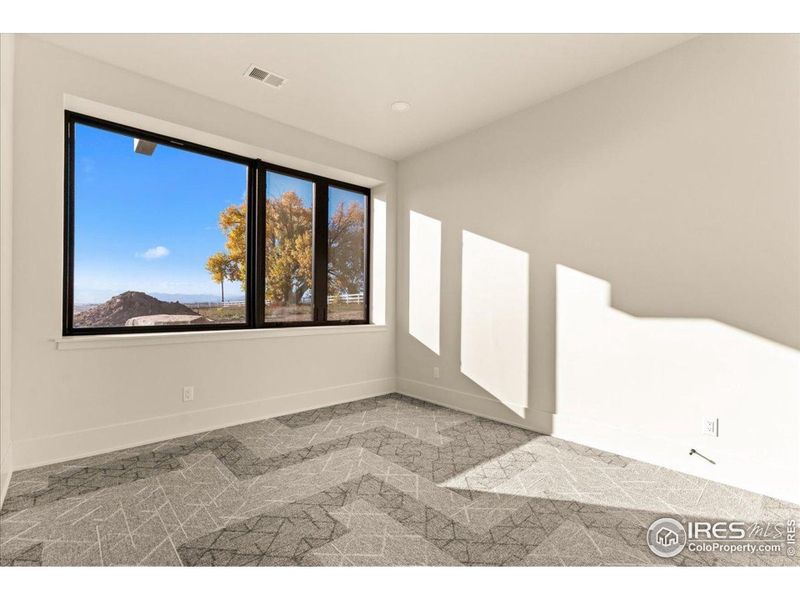 Basement office or 5th bedroom