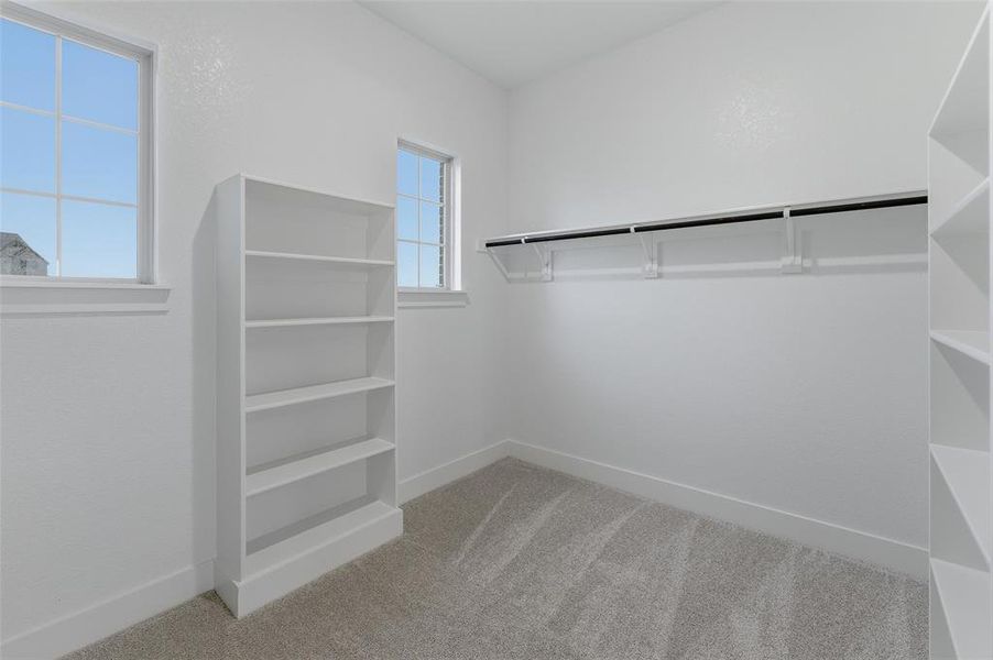 Room featuring light gray carpet flooring, white walls, and two multi-pane windows Room featuring light gray carpet flooring, white walls, and two multi-pane windows