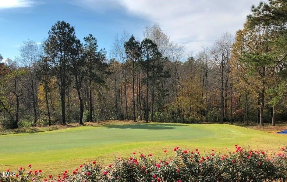 Reedy Creek GC