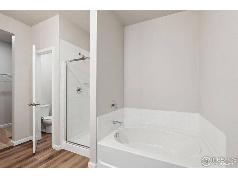 Furnished interior view inside a new home in , Severance (Image 7).