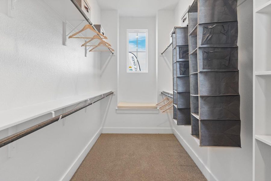 Walk in closet with light carpet