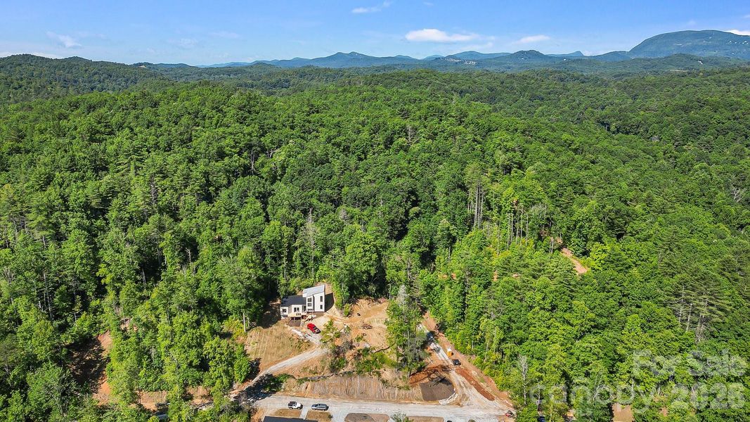 Natural landscape and outdoor views near  in Lake Toxaway (Image 25).