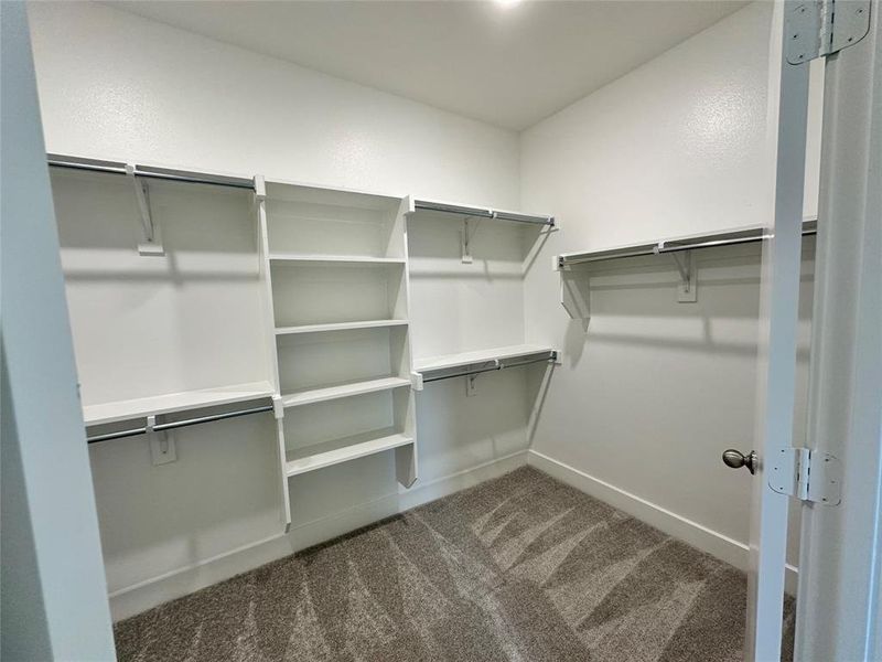 Spacious Primary Bedroom closet featuring dark carpet