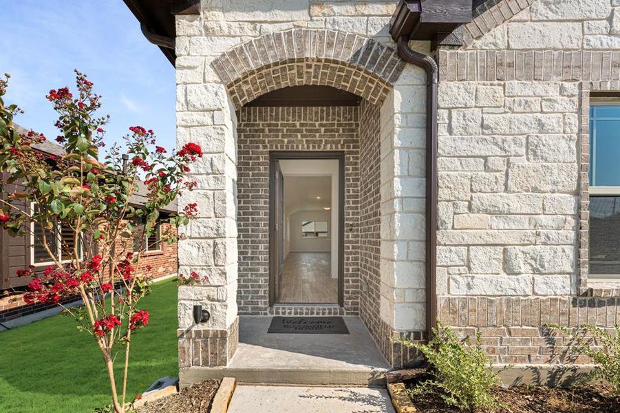 Exterior details and patio area of a home in Bear Creek Elements, Lavon (Image 3).