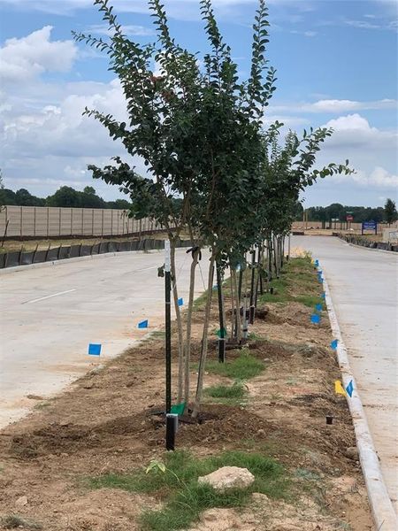 Image 8 of a home in Becker Meadows.