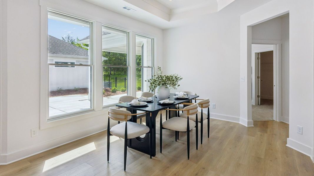 Furnished interior view inside a new home in The Courtyards at Stewarts Creek, Smyrna (Image 15).